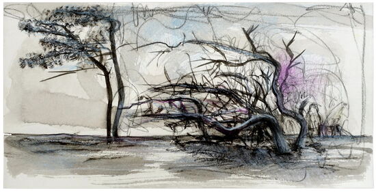 Tuschezeichnung  "Darß - Stürmischer Tag" Japantusche/Pastellkreide auf satiniertem Archespapier 15 x 30 cm